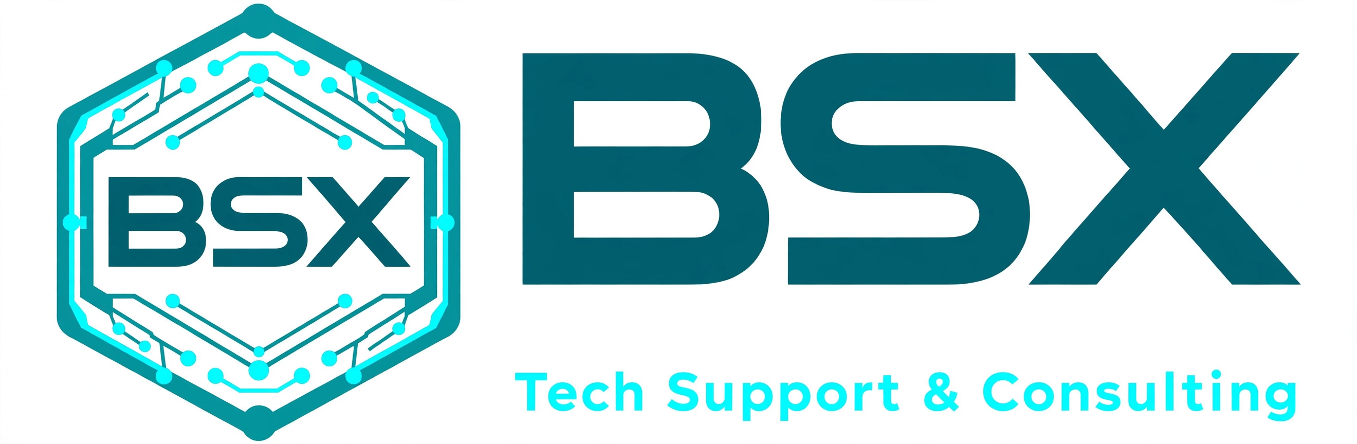 BSX Tech Support and Consulting logo